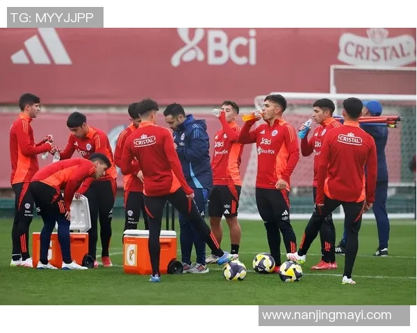 智利足球国家队有哪些知名球星及其在国际赛场的表现分析